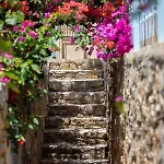 Beyaz Yunus - Adult Only 3* Oludeniz