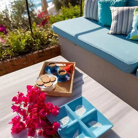 Beyaz Yunus - Adult Only