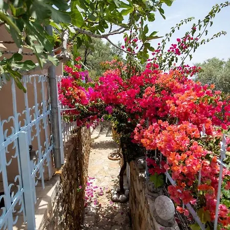 Beyaz Yunus - Adult Only אולודניץ