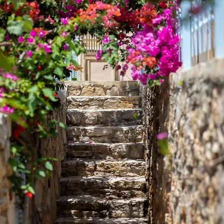 Beyaz Yunus - Adult Only 3* אולודניץ