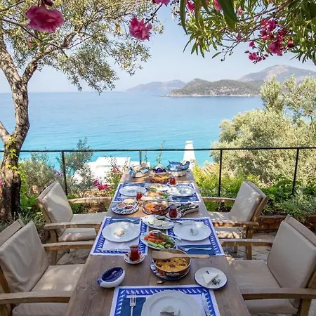 Beyaz Yunus - Adult Only אולודניץ