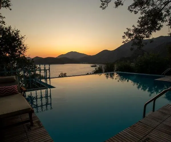 Beyaz Yunus - Adult Only