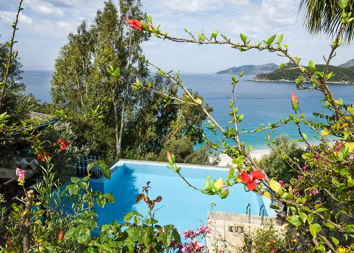 Beyaz Yunus - Adult Only 3* Öludeniz