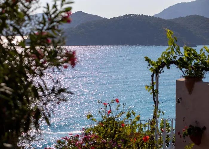 Hotell Beyaz Yunus - Adult Only Öludeniz