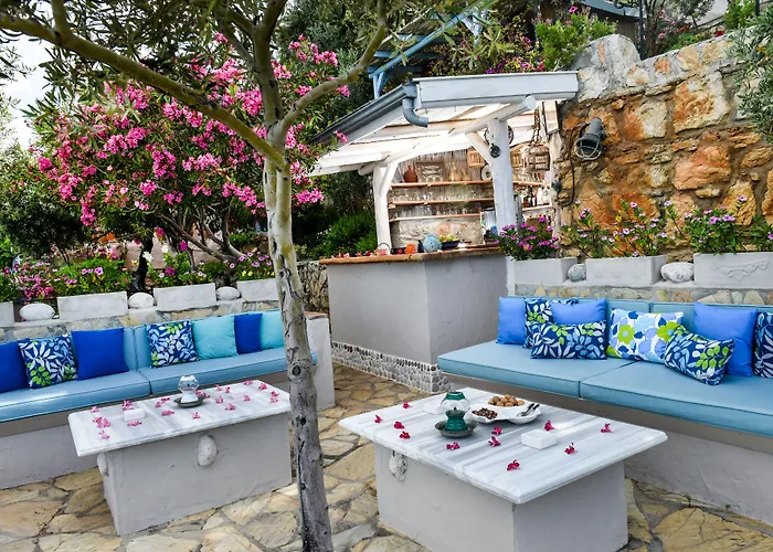 Beyaz Yunus - Adult Only