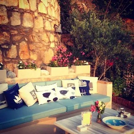 Beyaz Yunus - Adult Only