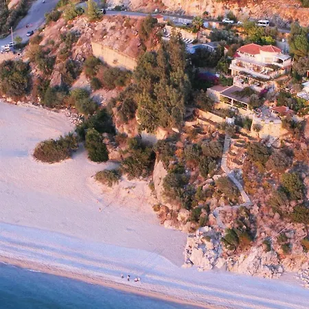 Beyaz Yunus - Adult Only