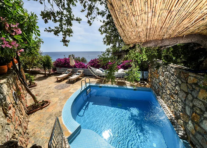 Beyaz Yunus - Adult Only Oludeniz