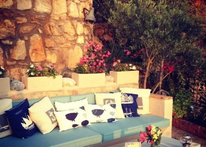 Beyaz Yunus - Adult Only