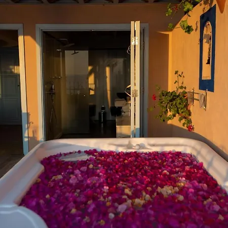 Beyaz Yunus - Adult Only 3*