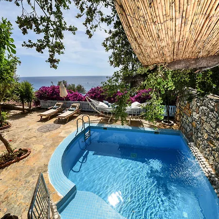 Beyaz Yunus - Adult Only オルデニズ