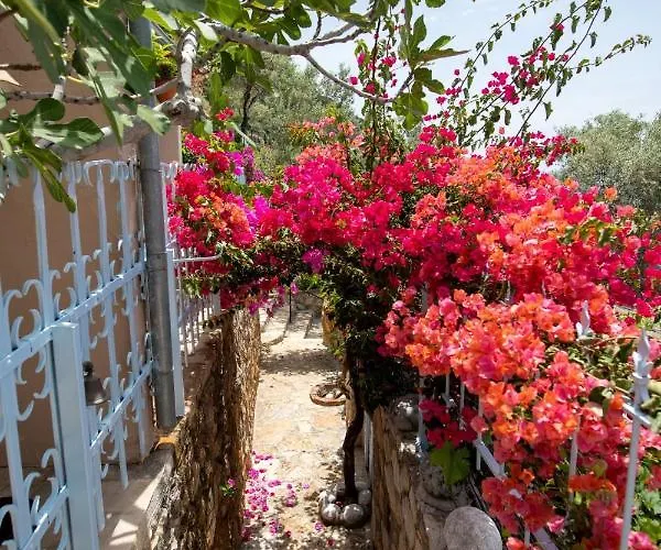 Beyaz Yunus - Adult Only Олудениз