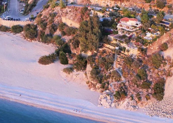 Beyaz Yunus - Adult Only